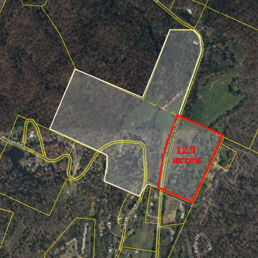 0 Ladd Springs Road Old Fort, TN 37362 - Photo 11 of 11