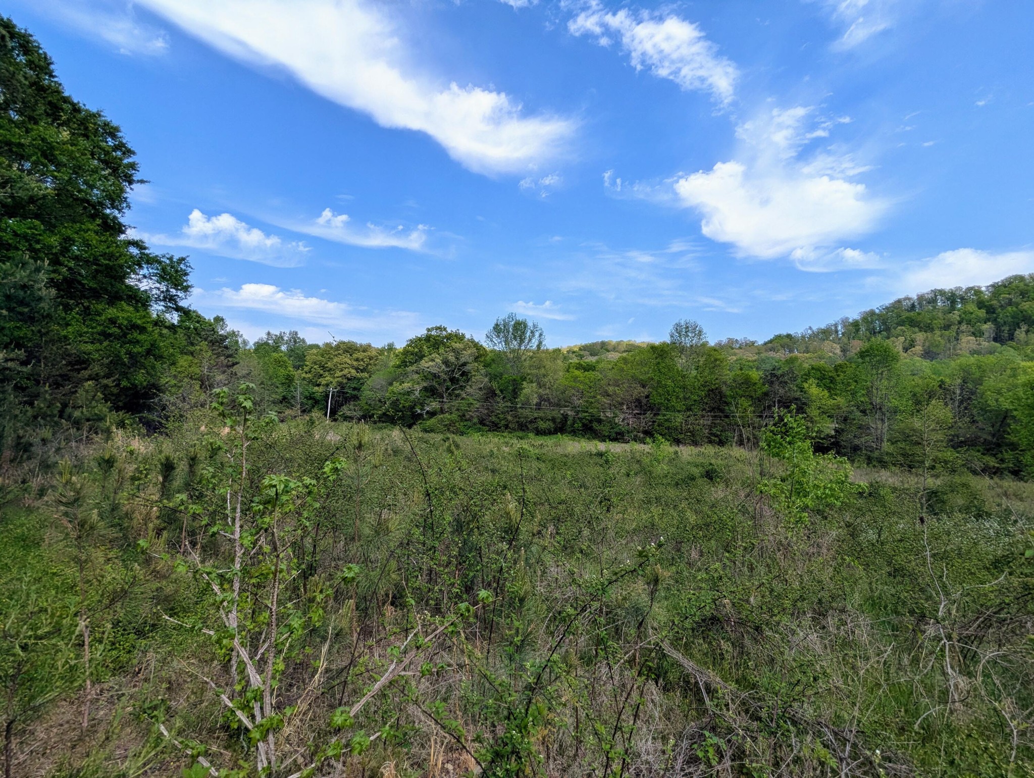 0 Ladd Springs Road Old Fort, TN 37362 - Photo 7 of 11 a view of a city and lush green forest