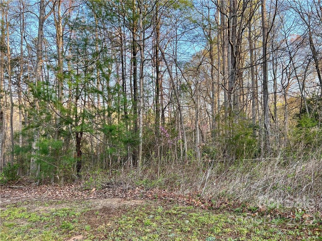 6566 Lineberger Road, Unit 13 Denver, NC 28037 - Photo 2 of 8 Gallery Image 2