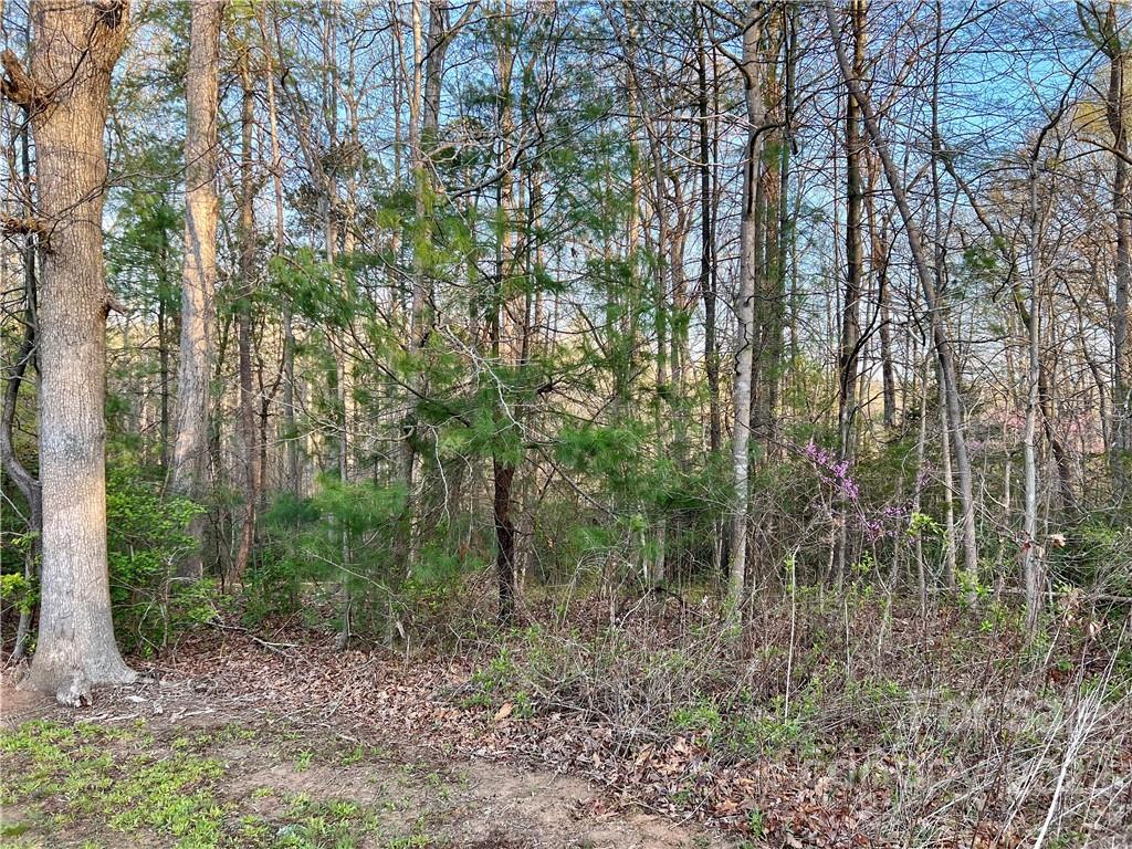 6566 Lineberger Road, Unit 13 Denver, NC 28037 - Photo 3 of 8 Gallery Image 3