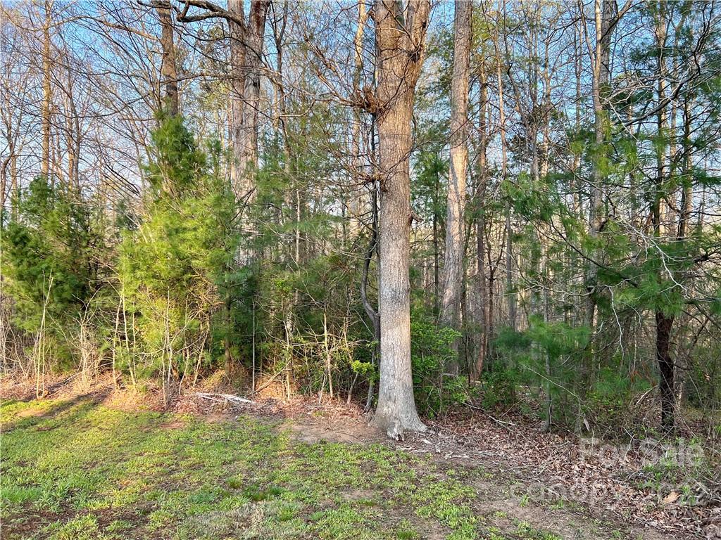 6566 Lineberger Road, Unit 13 Denver, NC 28037 - Photo 4 of 8 Gallery Image 4
