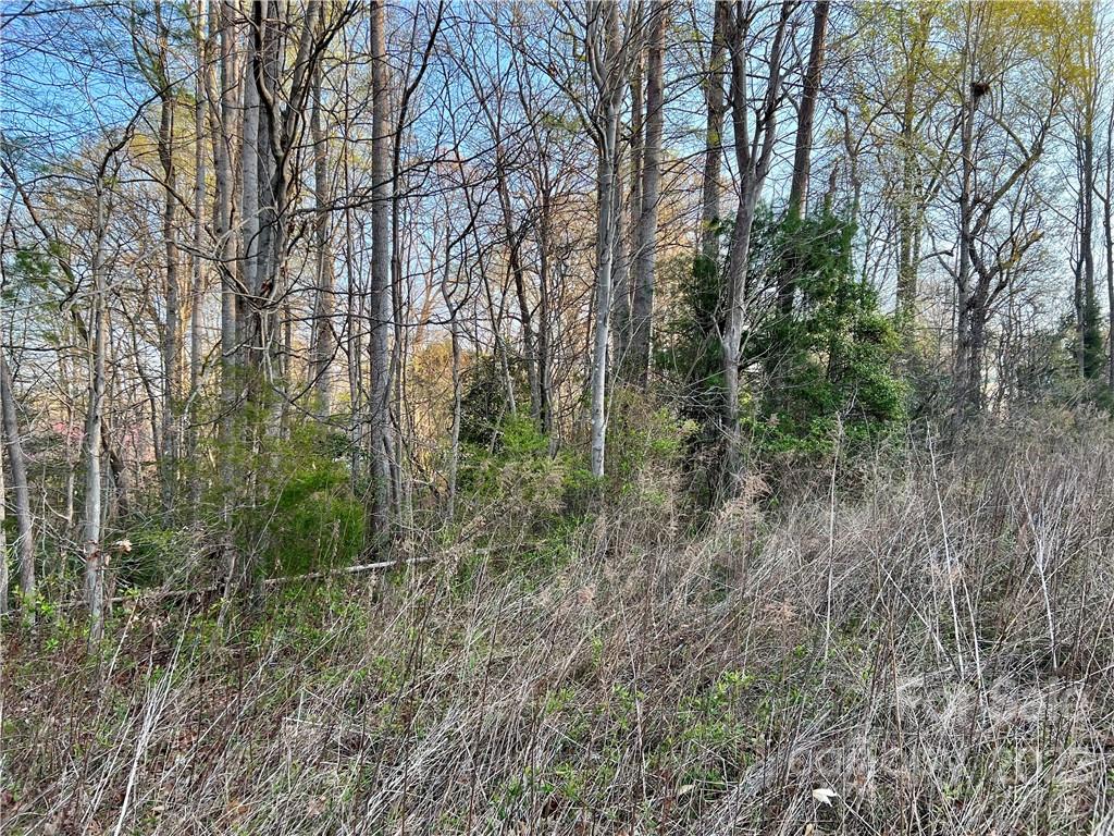 6566 Lineberger Road, Unit 13 Denver, NC 28037 - Photo 6 of 8 Gallery Image 6