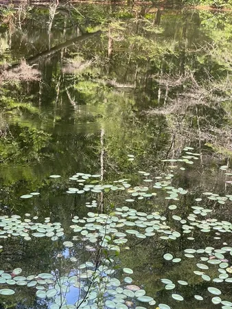 $425,000 | 0 Dudleyville Road, Leverett, MA 01054