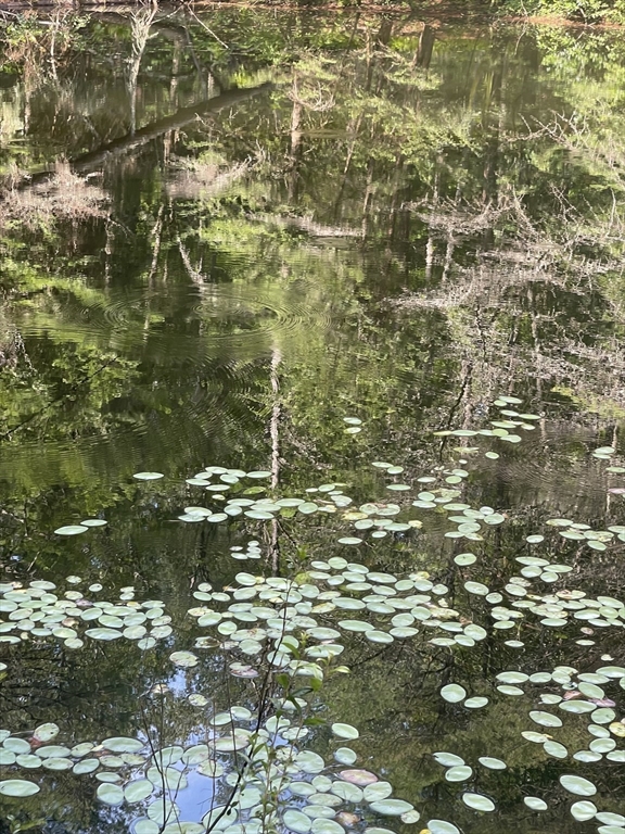 0 Dudleyville Road Leverett, MA 01054 - Photo 11 of 14