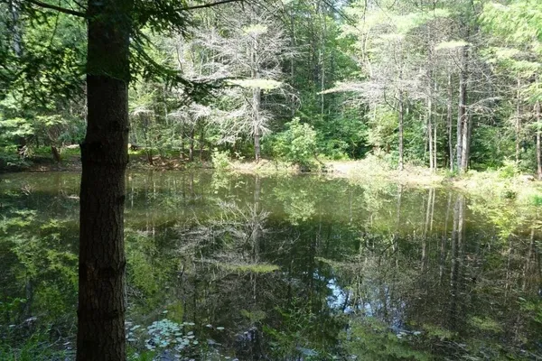 $425,000 | 0 Dudleyville Road, Leverett, MA 01054