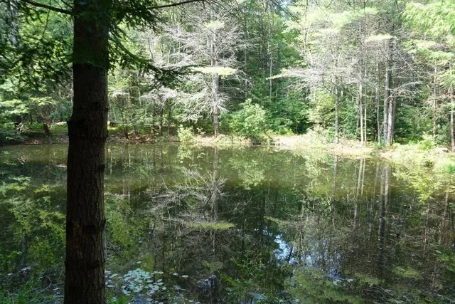 $425,000 | 0 Dudleyville Road, Leverett, MA 01054