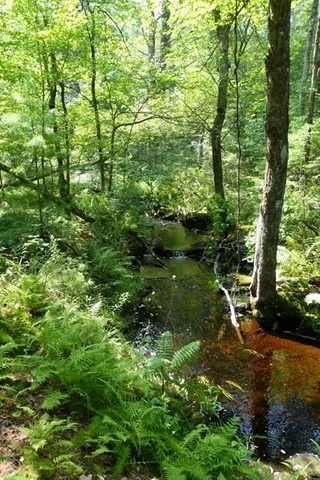 $425,000 | 0 Dudleyville Road, Leverett, MA 01054