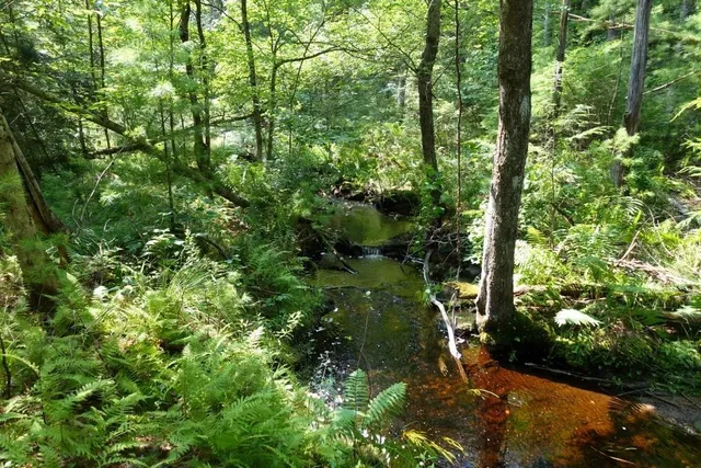 $425,000 | 0 Dudleyville Road, Leverett, MA 01054