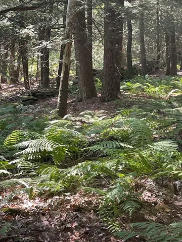 $425,000 | 0 Dudleyville Road, Leverett, MA 01054