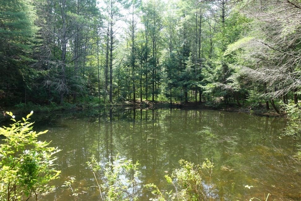 0 Dudleyville Road Leverett, MA 01054 - Photo 4 of 14