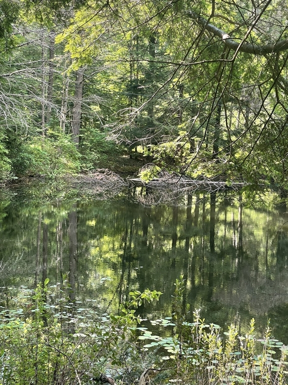 0 Dudleyville Road Leverett, MA 01054 - Photo 6 of 14