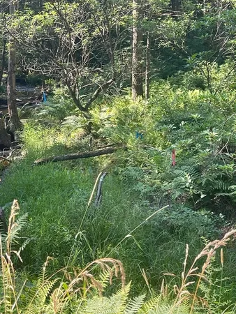 $425,000 | 0 Dudleyville Road, Leverett, MA 01054