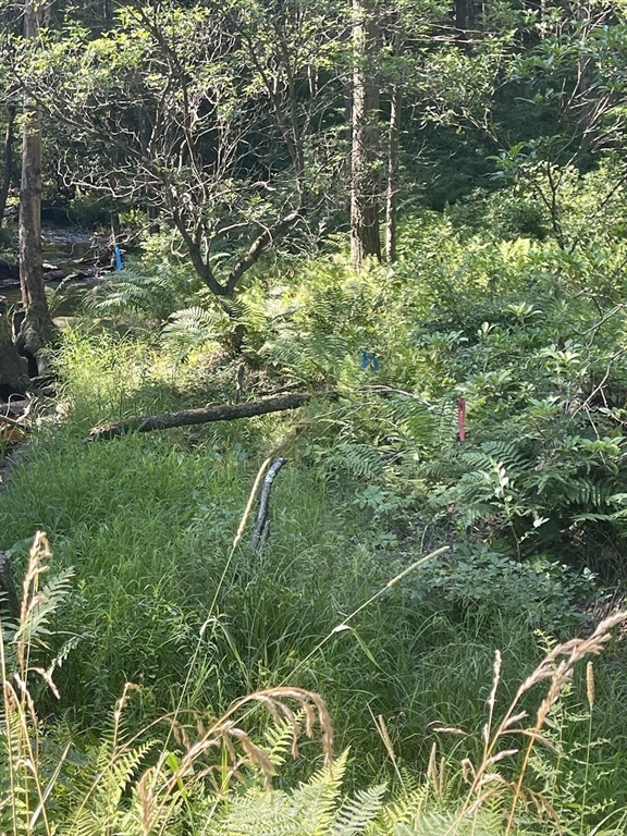 0 Dudleyville Road Leverett, MA 01054 - Photo 7 of 14