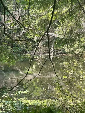 $425,000 | 0 Dudleyville Road, Leverett, MA 01054