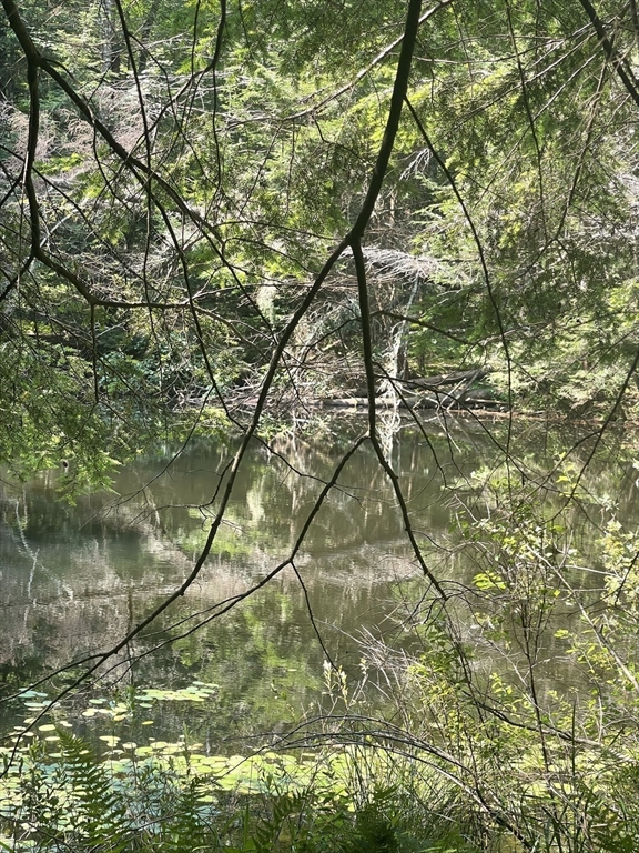 0 Dudleyville Road Leverett, MA 01054 - Photo 10 of 14