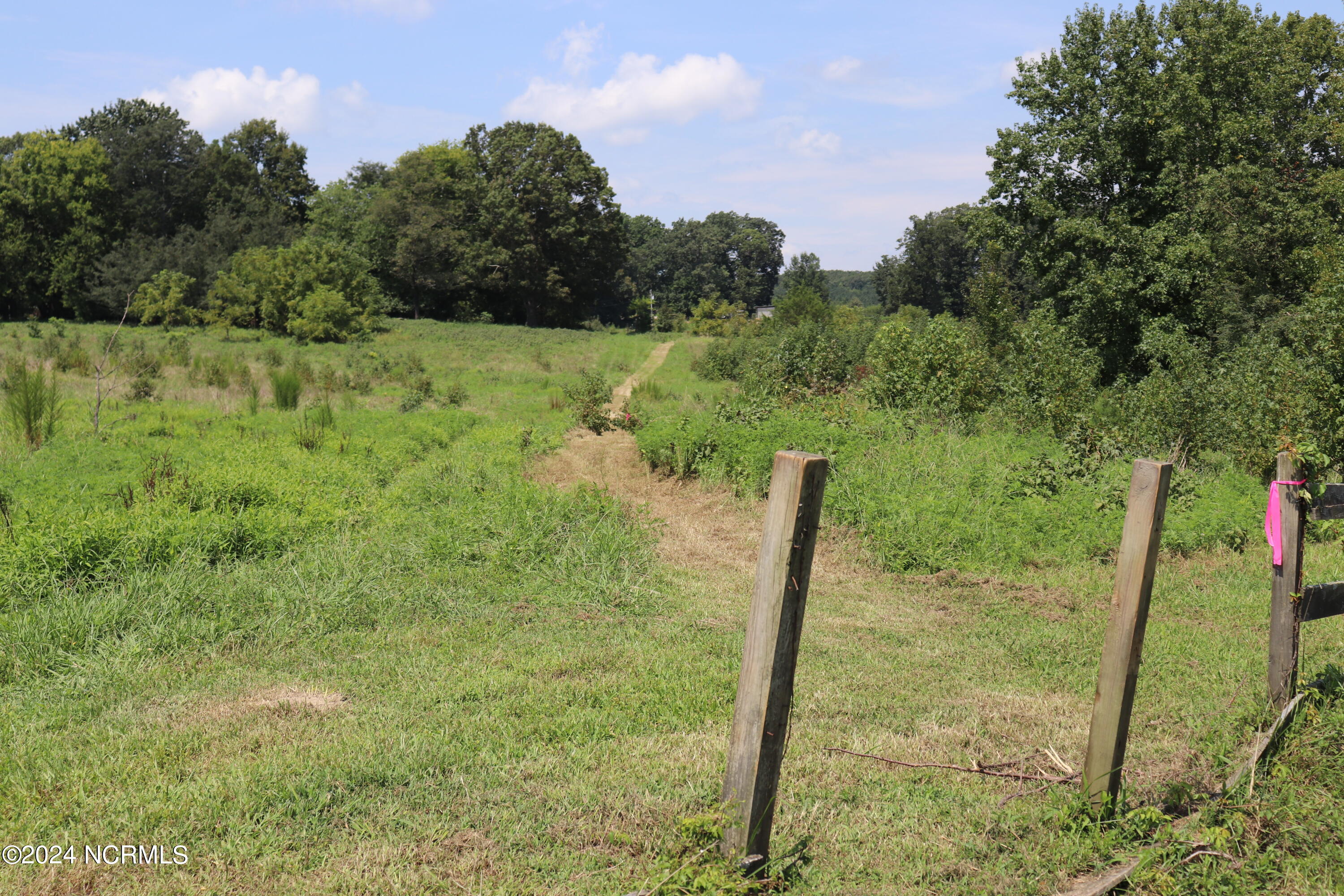 165 Kmj Ranch Road Troy, NC 27371 - Photo 28 of 58 View of proposed property boundary from primary farm