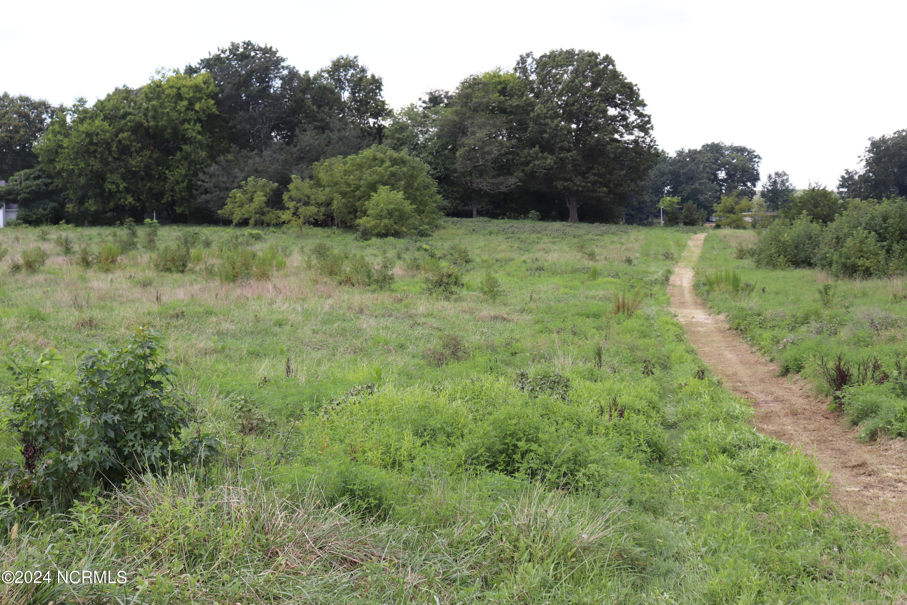 165 Kmj Ranch Road Troy, NC 27371 - Photo 29 of 58 View of proposed property boundary from primary farm
