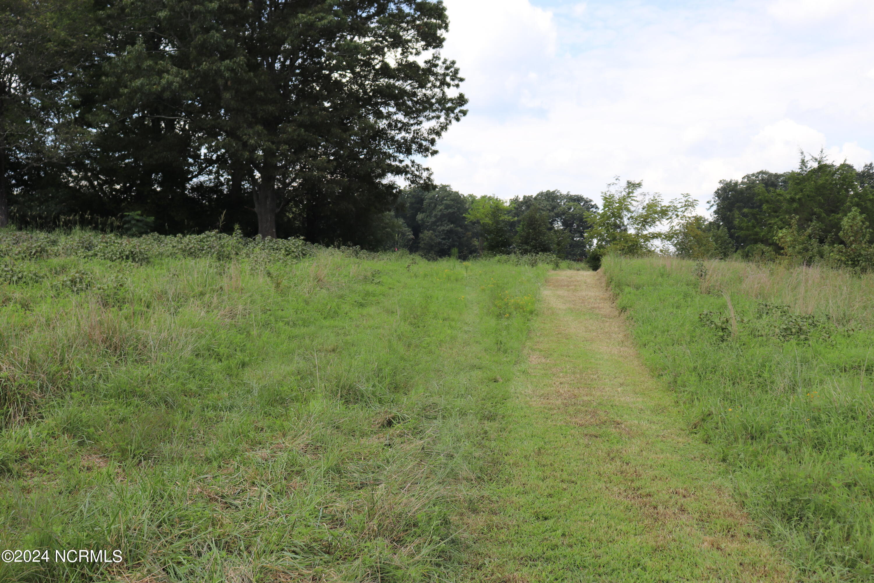 165 Kmj Ranch Road Troy, NC 27371 - Photo 30 of 58 View of proposed property boundary from primary farm