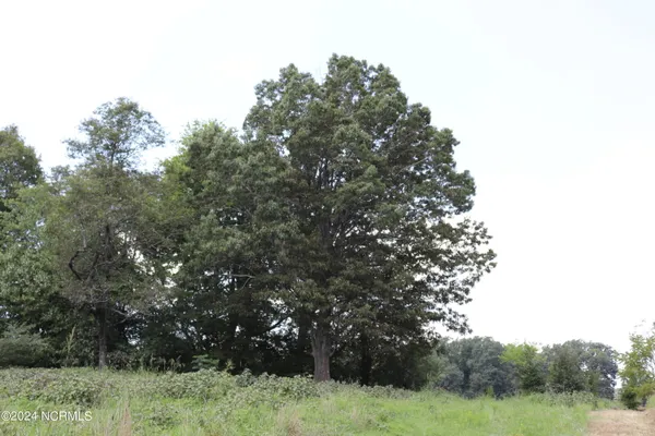 $300,000 | 165 Kmj Ranch Road, Troy, NC 27371