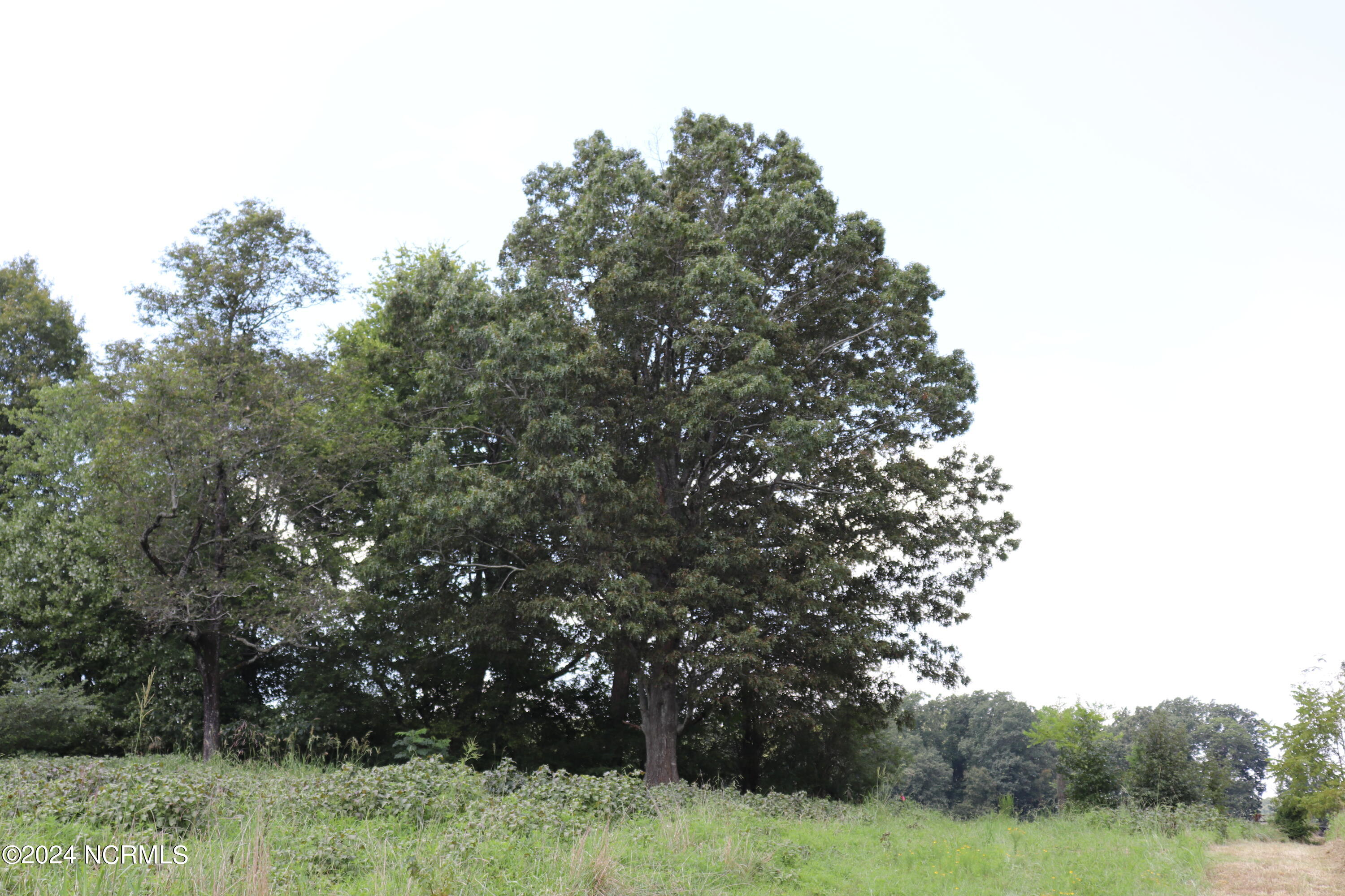 165 Kmj Ranch Road Troy, NC 27371 - Photo 31 of 58 31