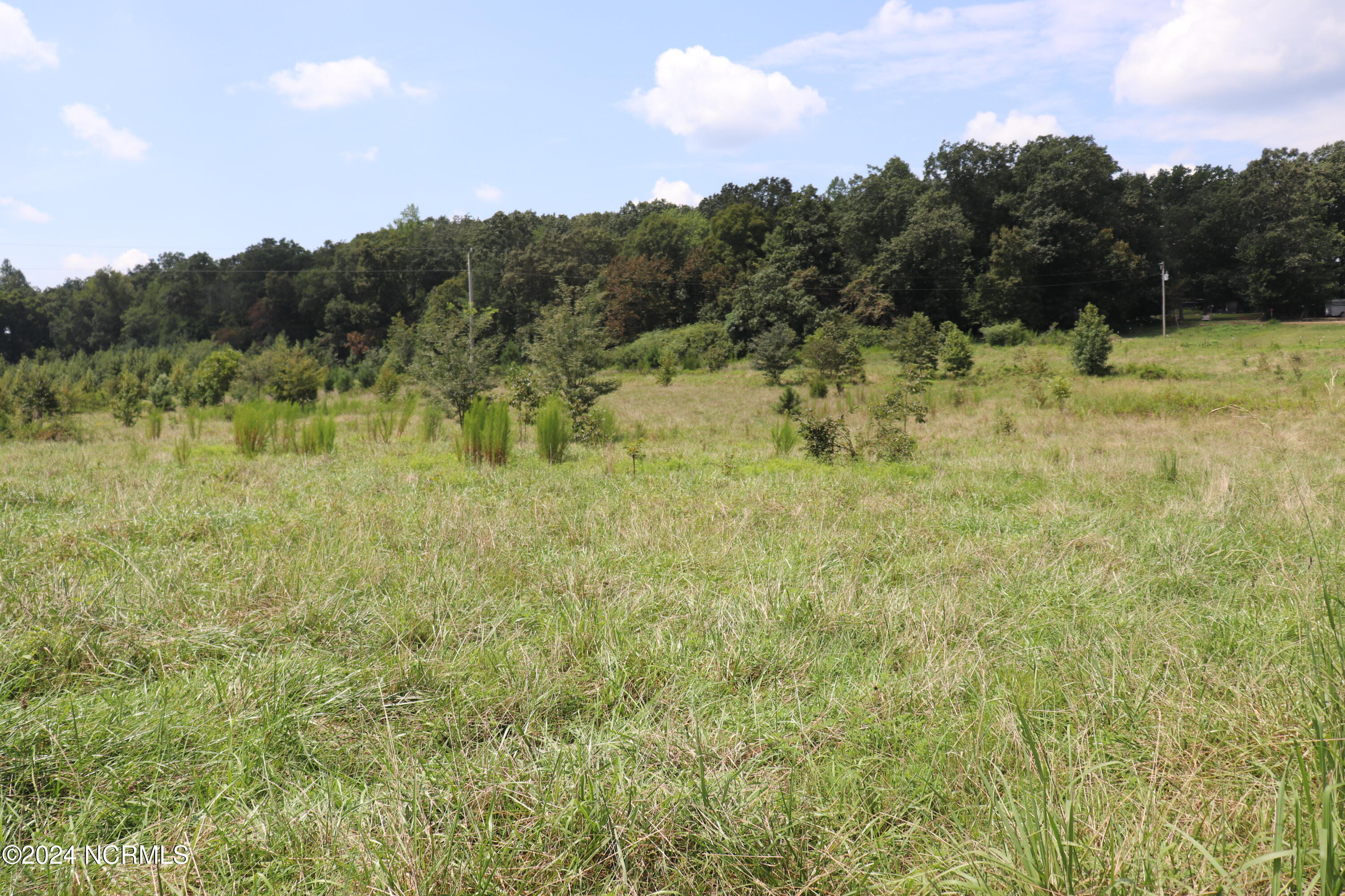 165 Kmj Ranch Road Troy, NC 27371 - Photo 35 of 58 Back pasture