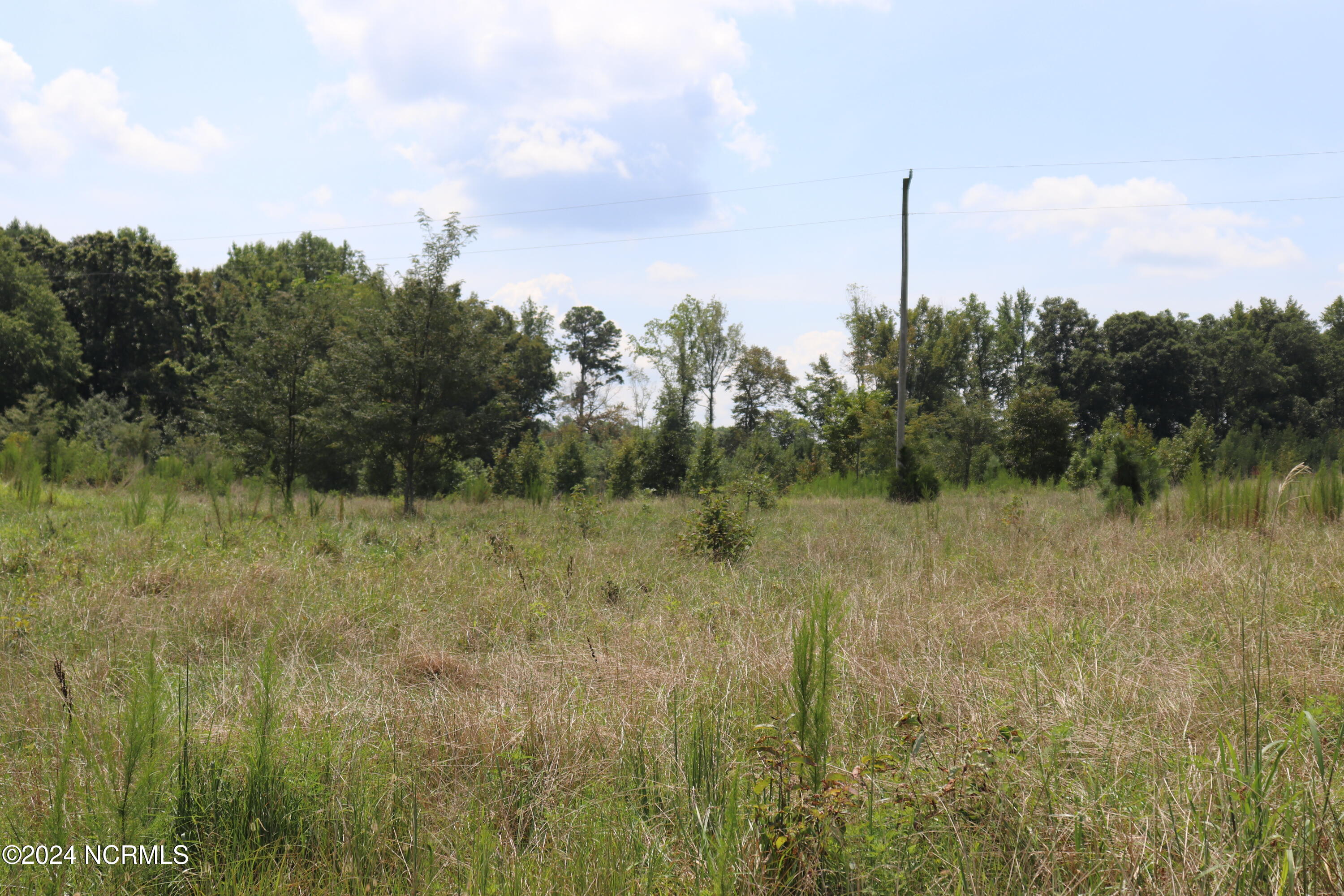 165 Kmj Ranch Road Troy, NC 27371 - Photo 36 of 58 Back pasture
