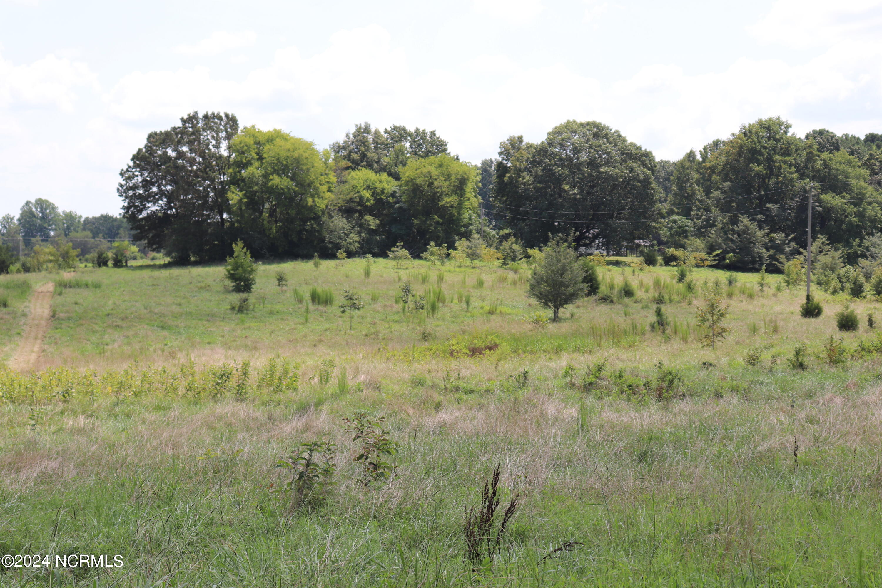 165 Kmj Ranch Road Troy, NC 27371 - Photo 39 of 58 Back pasture