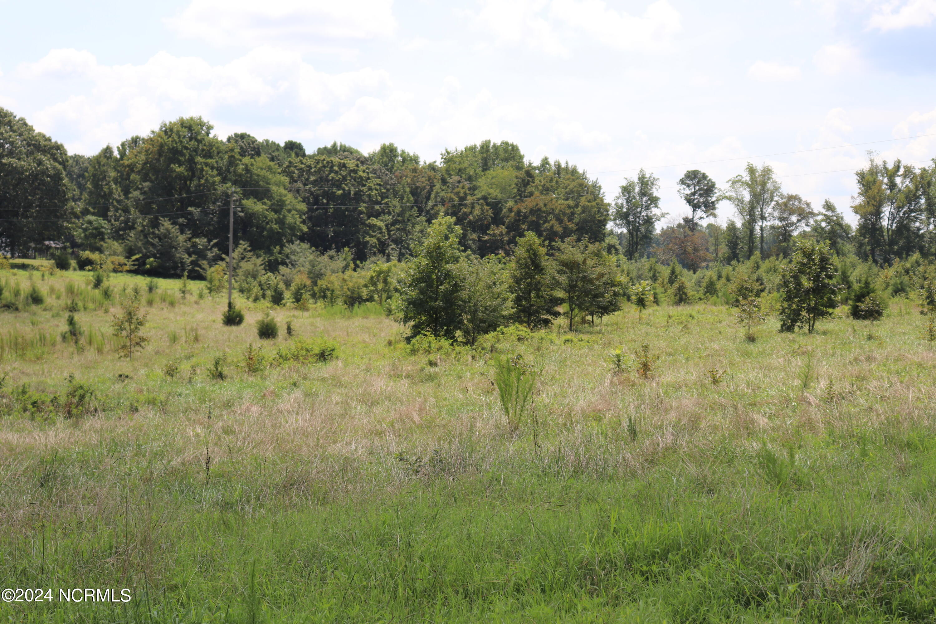 165 Kmj Ranch Road Troy, NC 27371 - Photo 40 of 58 Back pasture
