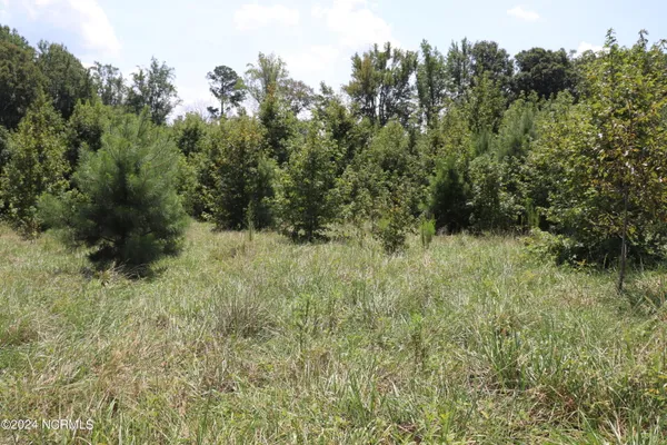 $300,000 | 165 Kmj Ranch Road, Troy, NC 27371