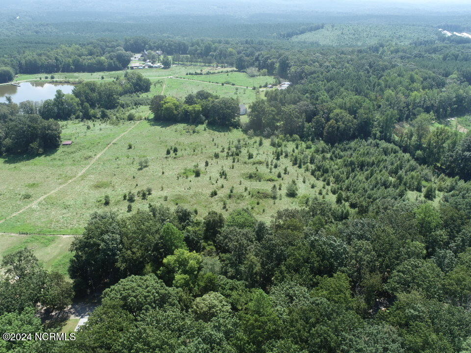 165 Kmj Ranch Road Troy, NC 27371 - Photo 47 of 58 Aerial view facing East from behind back pasture