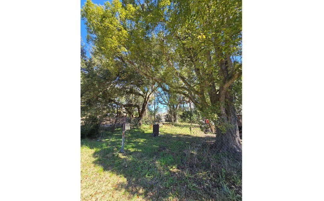 1302 South Center Street Perry, FL 32348 - Photo 12 of 18