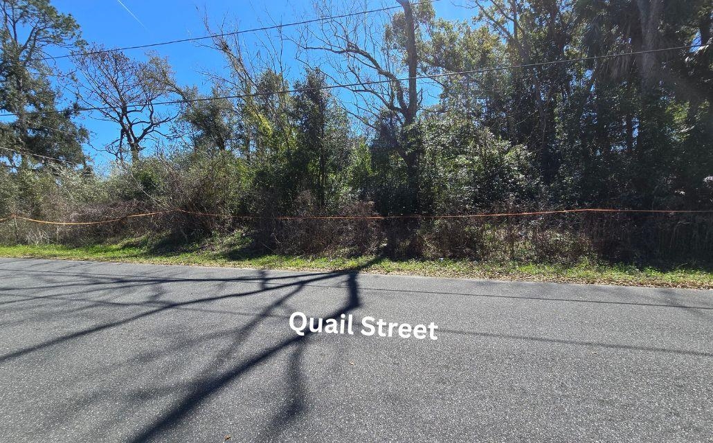 1302 South Center Street Perry, FL 32348 - Photo 14 of 18