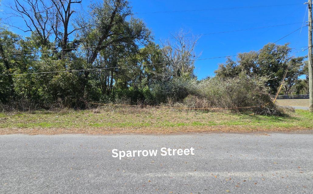 1302 South Center Street Perry, FL 32348 - Photo 16 of 18