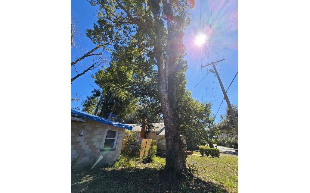 1302 South Center Street Perry, FL 32348 - Photo 17 of 19
