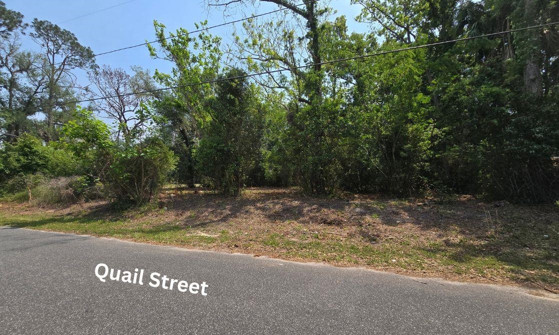 1302 South Center Street Perry, FL 32348 - Photo 19 of 19