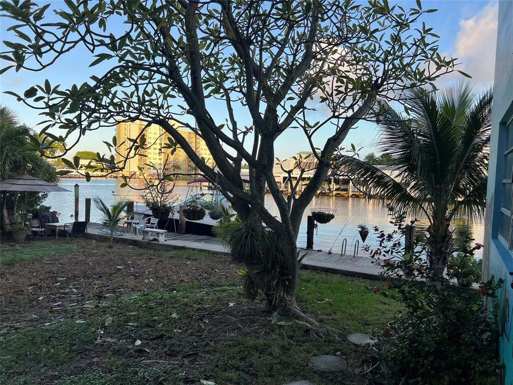 a view of a house with large trees