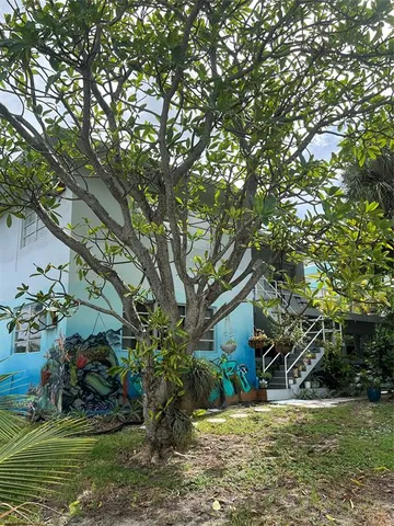 a view of a yard with plants and trees
