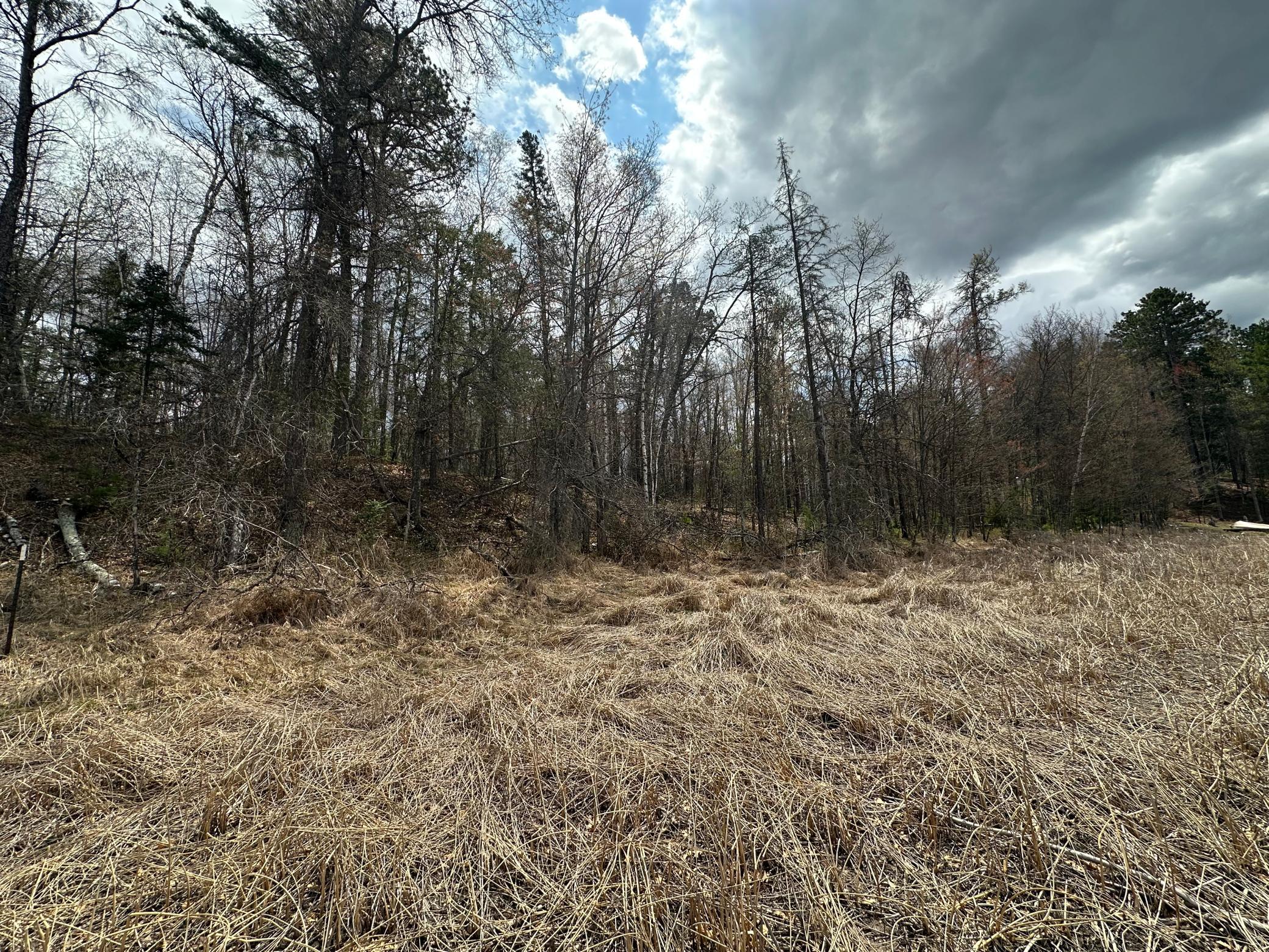 Tbd Dobosenski Road Sturgeon Lake, MN 55783 - Photo 7 of 22