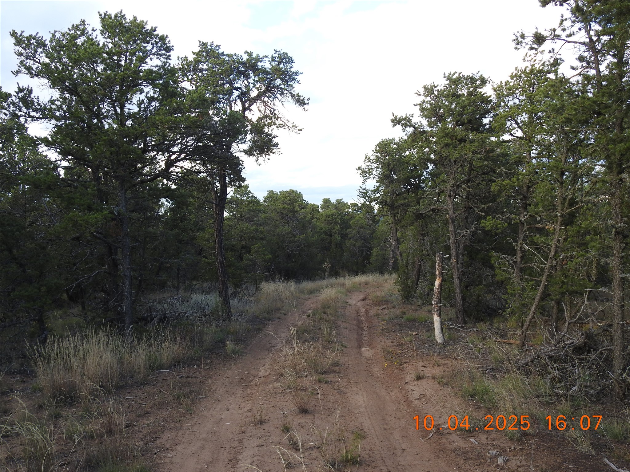 129 Tierra De Dios Ribera, NM 87560 - Photo 4 of 23