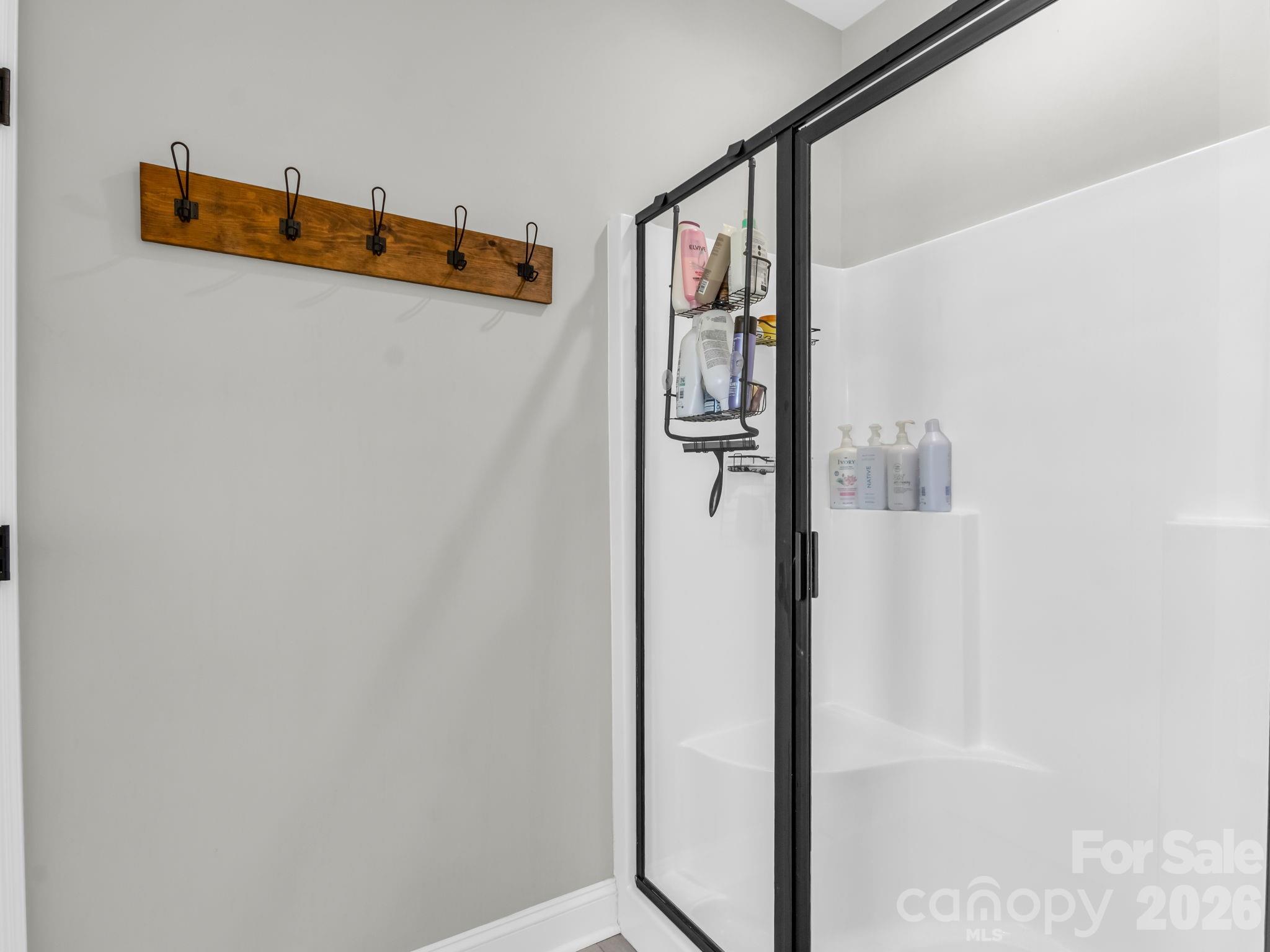 288 Maypole Court Forest City, NC 28043 - Photo 21 of 47 a view of walk in closet with window