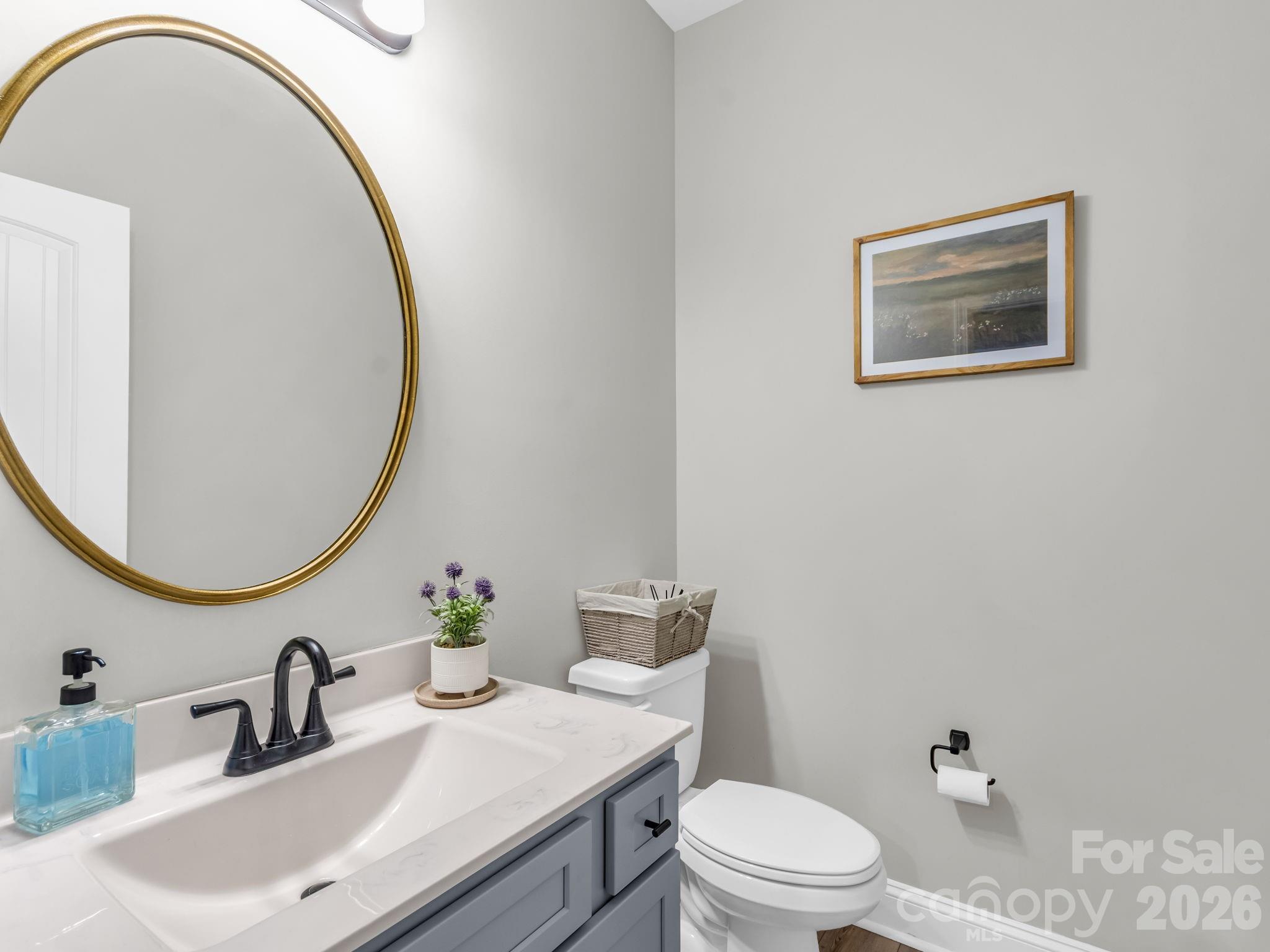 288 Maypole Court Forest City, NC 28043 - Photo 30 of 47 a bathroom with a toilet a sink and mirror