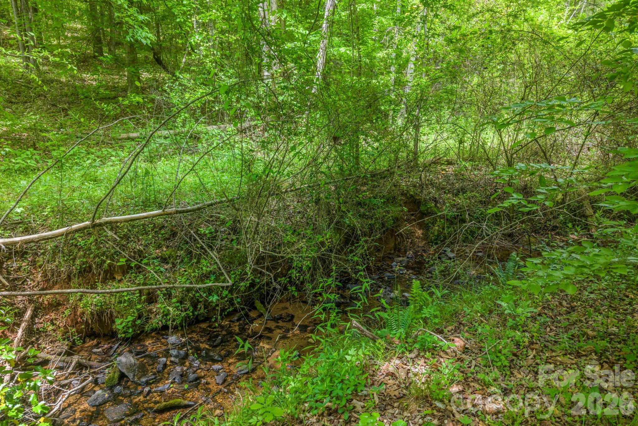 288 Maypole Court Forest City, NC 28043 - Photo 42 of 47 a view of a yard