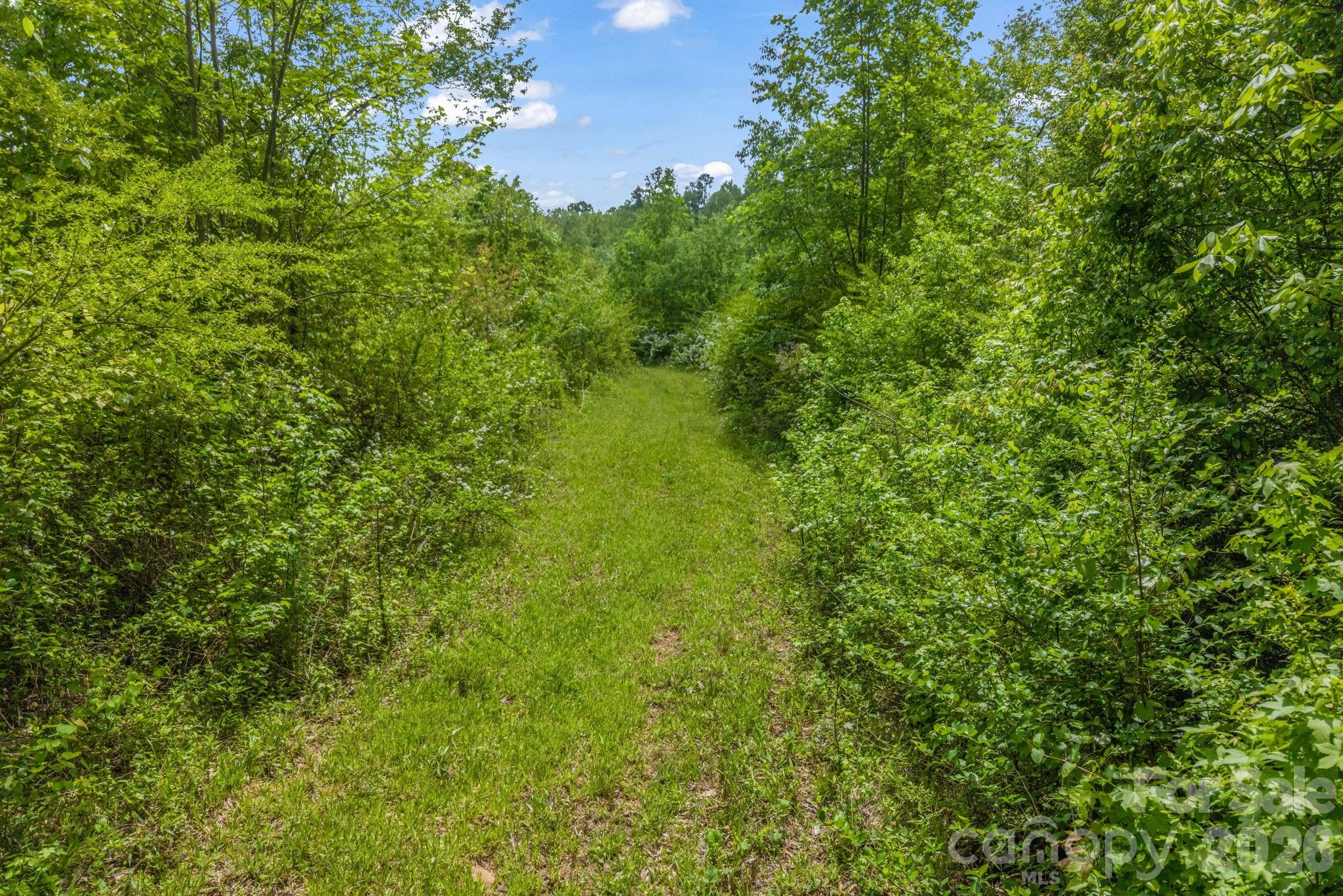 288 Maypole Court Forest City, NC 28043 - Photo 44 of 47 a view of a lush green space