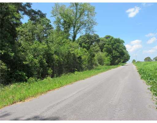 6 Acres Jerry Fork Road Lucedale, MS 39452 - Photo 16 of 24 Additional Photo
