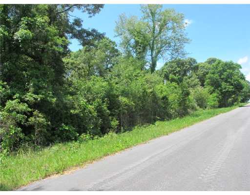 6 Acres Jerry Fork Road Lucedale, MS 39452 - Photo 4 of 24 Additional Photo