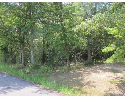 6 Acres Jerry Fork Road Lucedale, MS 39452 - Photo 5 of 24 Additional Photo