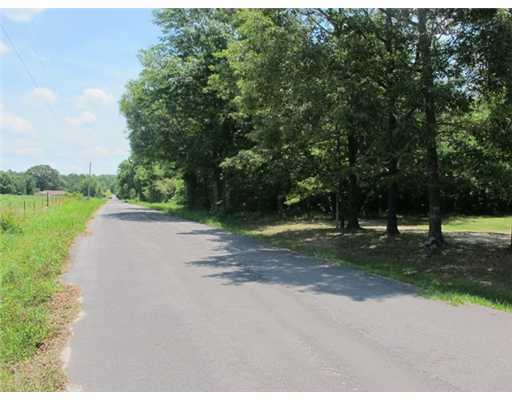 6 Acres Jerry Fork Road Lucedale, MS 39452 - Photo 7 of 24 Additional Photo