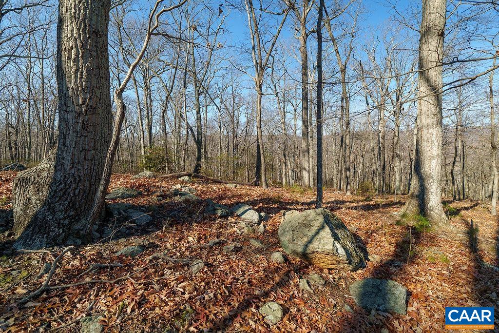 Lot 2 Handley Way Afton, VA 22920 - Photo 11 of 33 a backyard of a house with lots of green space