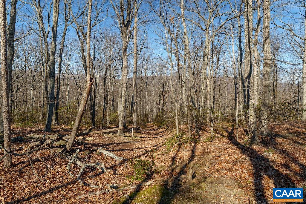 Lot 2 Handley Way Afton, VA 22920 - Photo 12 of 33 a backyard of a house with lots of green space