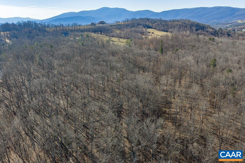 Lot 2 Handley Way Afton, VA 22920 - Photo 13 of 33 a view of mountain and a forest